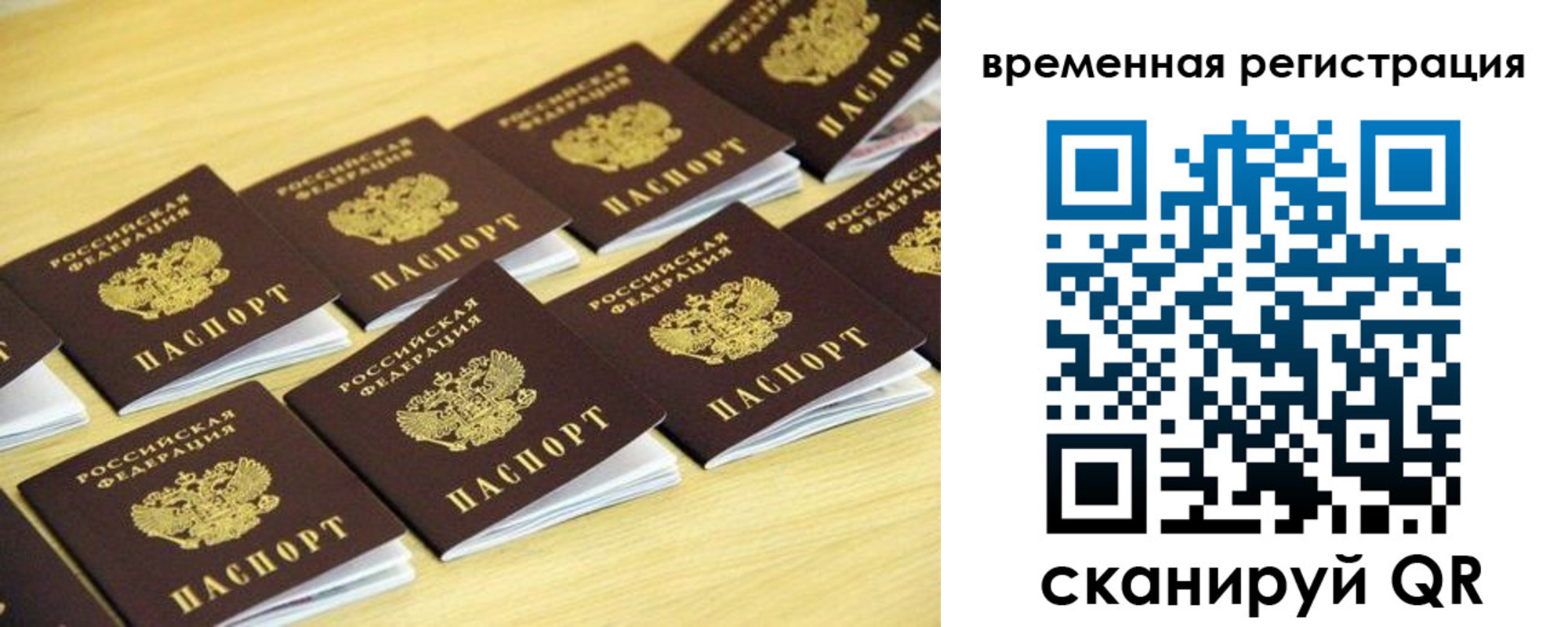 купить прописку в Купино